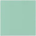 Serwetki PAW AIRLAID L 40x40cm Monokolor (jasna mięta) [50 szt.]