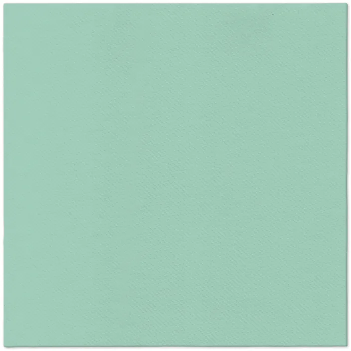 Główne zdjęcie produktu Ubrousky PAW AIRLAID L 40x40cm Monocolor (light mint) [50 ks]