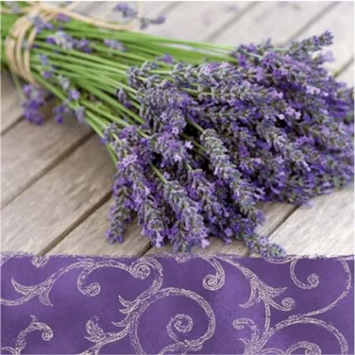 Główne zdjęcie produktu Ubrousky PAW L 33x33 cm Lavender in the Country