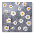 Następne zdjęcie produktu Ubrousky PAW L 33x33cm Daisies Love