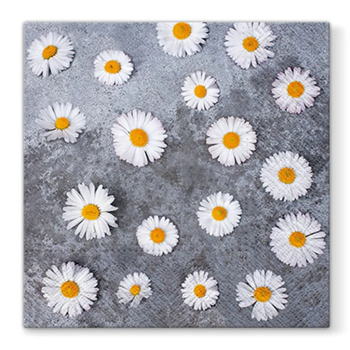 Główne zdjęcie produktu Ubrousky PAW L 33x33cm Daisies Love