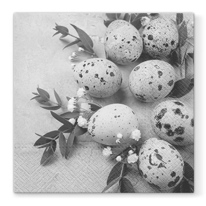 Główne zdjęcie produktu Ubrousky PAW L 33x33cm Natural Eggs
