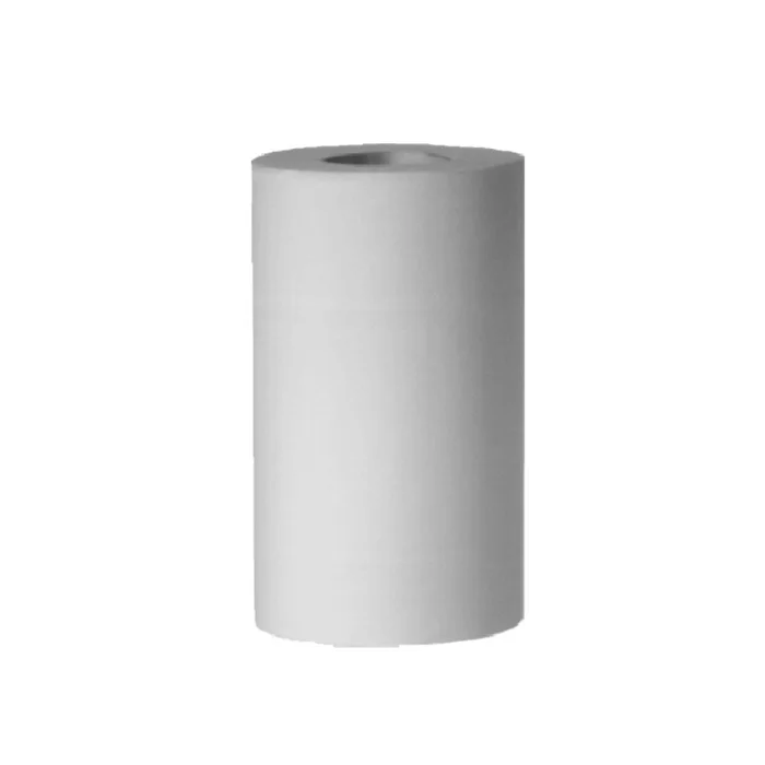 Główne zdjęcie produktu Utěrky rolované 2-vr. recykl 20cm x 55m (průměr 13cm) [1 ks]
