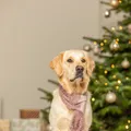 Następne zdjęcie produktu Vánoční hebká šála, plyš, starorůžová50 cm