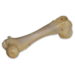 Kość wieprzowa biała - ekstrudowana 1 szt./17 cm