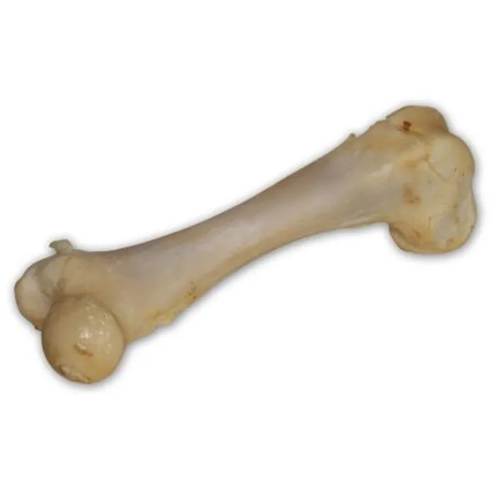 Główne zdjęcie produktu Vepřová kost bílá - extrudovaná 1 ks/17 cm