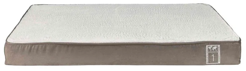 Główne zdjęcie produktu Vital polštář Best of All Breeds, 80 x 50 cm, tmavošedá/šedá - DOPRODEJ