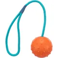 Następne zdjęcie produktu Piłka do rzucania grudkowata na sznurku 7cm/30cm - TRIXIE