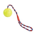 Następne zdjęcie produktu Piłka do rzucania z twardej gumy naturalnej 7/39 cm, na linie, HipHop