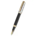 Pióro wieczne Waterman Exception Reflections of Paris SE DLX Black GT stalówka M