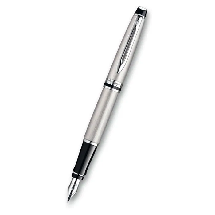 Główne zdjęcie produktu Waterman Expert Stainless Steel CT hrot M