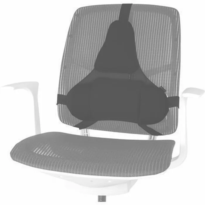 Główne zdjęcie produktu Zádová opěrka Profesional, opora beder, černá, plast, Fellowes