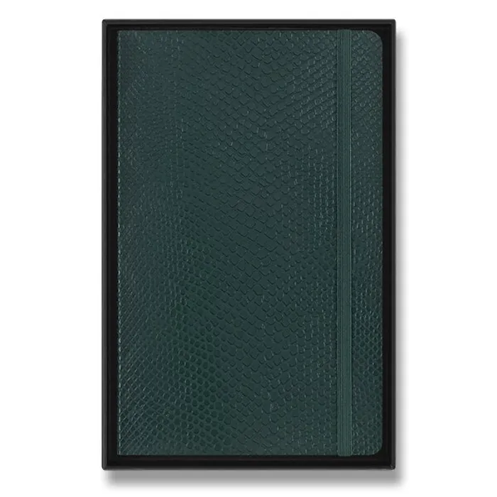 Główne zdjęcie produktu Zápisník Moleskine Precious & Ethical Vegea Boa - měkké desky L, linkovaný, zelený