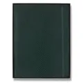 Zápisník Moleskine Precious & Ethical Vegea Boa - měkké desky XL, linkovaný, zelený