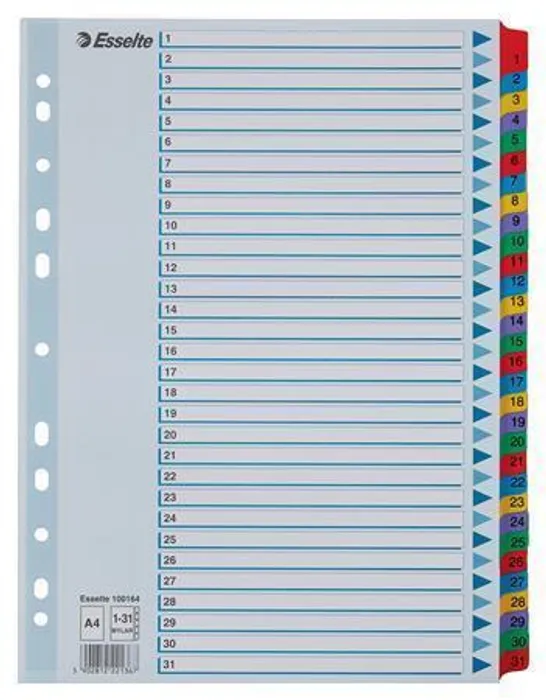 Główne zdjęcie produktu Zesílené kartonové rejstříky Esselte Mylar, A4, Mix barev