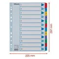 Rejestratory z tektury wzmocnionej Esselte Mylar, A4, Mix kolorów