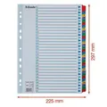 Rejestratory z tektury wzmocnionej Esselte Mylar, A4, Mix kolorów