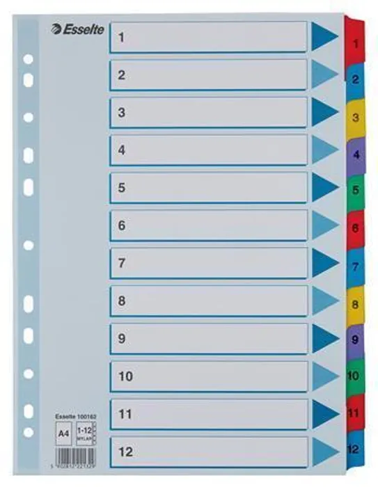 Główne zdjęcie produktu Zesílené kartonové rejstříky Esselte Mylar, A4, Mix barev
