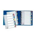 Wzmocnione przekładki kartonowe Esselte Mylar, A4, Mix kolorów