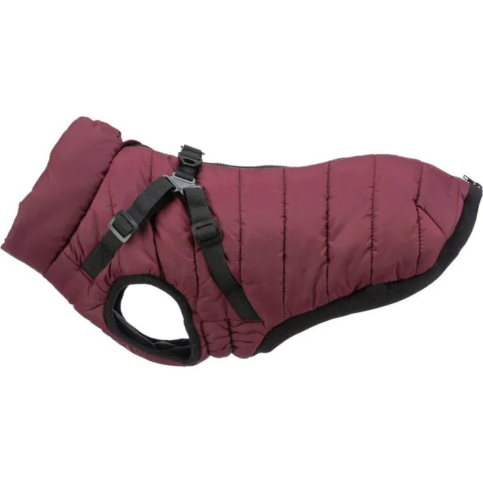 Główne zdjęcie produktu Zimní bunda PIROU s postrojem, sangriaM: 45cm, hruď: 62-66cm, krk: až 48cm