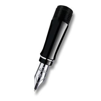 Papírenské zboží - Hrot Waterman Expert CT hrot F
