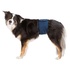 Papírenské zboží - Pas na brzuch do podkładek dla psów, kolor granatowy. L: obwód talii: 55-65 cm