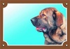 Papírenské zboží - Znak koloru Uwaga pies, Mastif hiszpański