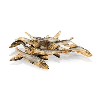 Papírenské zboží - KIDDOG rybičky - mořské šproty 5 kg