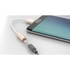Papírenské zboží - Kabel USB (2.0), USB C M- audio jack (3.5mm) F, 0.1m, reversible, zlatý, Apacer, box, DC1