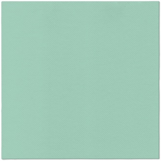 Papírenské zboží - Ubrousky PAW AIRLAID L 40x40cm Monocolor (light mint) [50 ks]