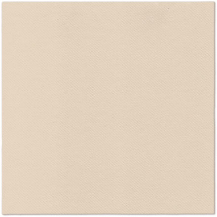 Papírenské zboží - Ubrousky PAW AIRLAID L 40x40cm Monocolor beige [50 ks]