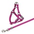 Papírenské zboží - Nylonowe szelki dla kota ze smyczą 26-37cm/10mm, 1,20m