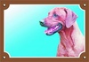 Papírenské zboží - Kolorowy znak Uwaga pies, Rhodesian Ridgeback