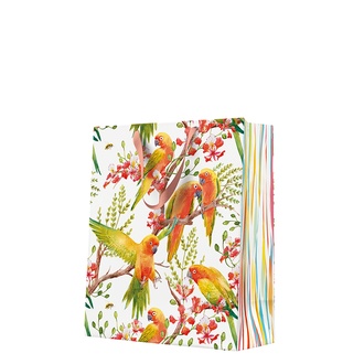 Papírenské zboží - Dárková taška velká - Exotic Birds 26,5x13x33,5 cm