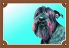 Papírenské zboží - Znak koloru Uwaga, pies, czarny sznaucer