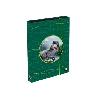 Papírenské zboží - Box na sešity A4 Jumbo OXY Sherpy Green