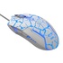 Papírenské zboží - E-blue Mysz Cobra, 2500DPI, optyczna, 6kl., przewodowa USB, biało-niebieska, do gry, e-box