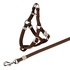 Papírenské zboží - Nylonowe szelki dla kota ze smyczą 26-37cm/10mm, 1,20m