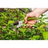 Papírenské zboží - Nożyce Verto do roślin i krzewów 15G201, 10mm