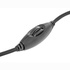Papírenské zboží - Defender Web kamera C-110, 0.3 Mpix, USB 2.0, czarno-szara, na notebook/LCD