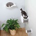 Papírenské zboží - Drapak na ścianę z legowiskiem dla kota 54x28x33 cm